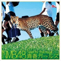 Team N 2nd Stage「青春ガールズ」.jpg