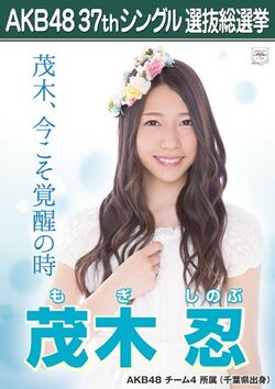 AKB48 37thシングル 選抜総選挙ポスター 茂木忍.jpg