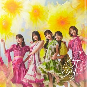 是非に及ばず 初回仕様限定盤D.jpg