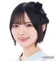 2026年